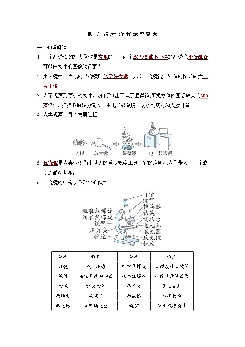 教科版科学六上 1.2怎样放得更大 学案（含答案）01