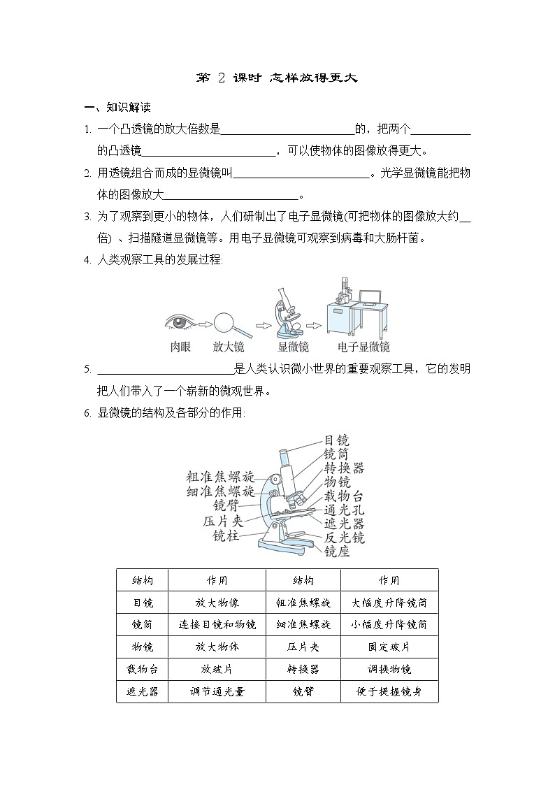 教科版科学六上 1.2怎样放得更大 学案（含答案）01