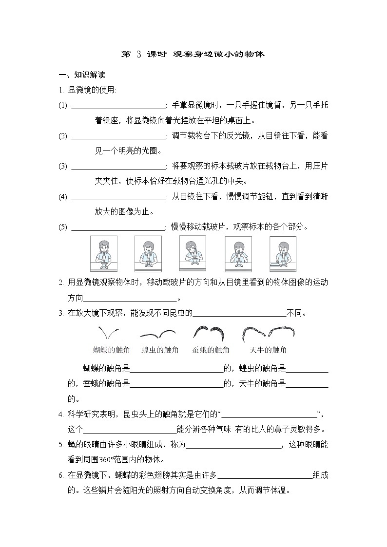 教科版科学六上 1.3观察身边微小的物体 学案（含答案）01