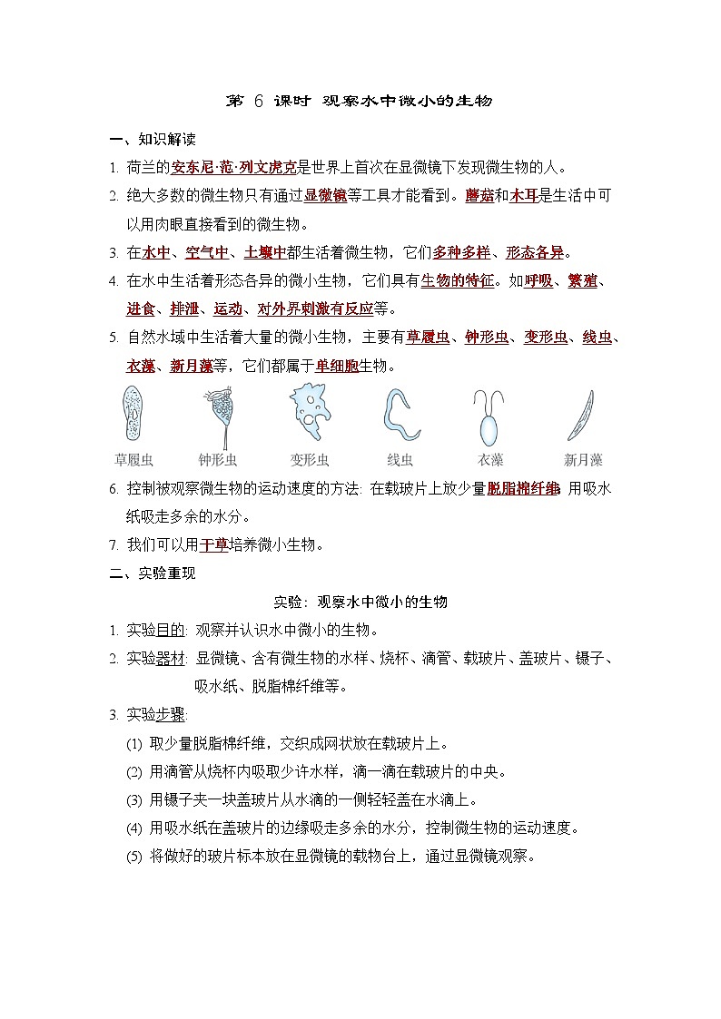 教科版科学六上 1.6观察水中微小的生物 学案（含答案）01
