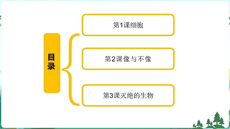 新青岛版科学六上 第一单元复习PPT02