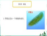 新青岛版科学六上 第一单元复习PPT