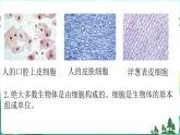新青岛版科学六上 第一单元复习PPT