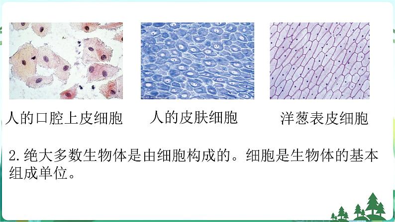 新青岛版科学六上 第一单元复习PPT04