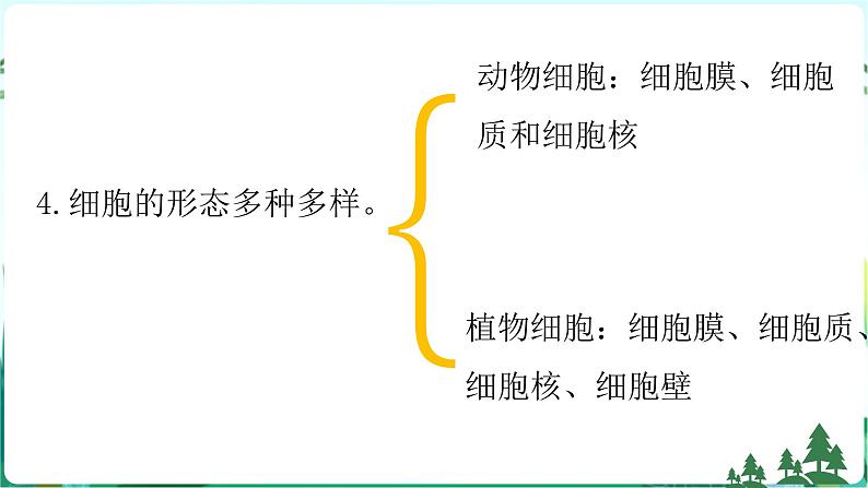 新青岛版科学六上 第一单元复习PPT06