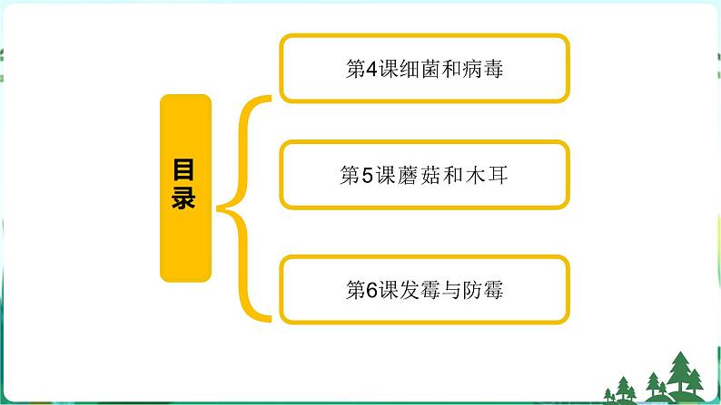 新青岛版科学六上 第二单元复习PPT第2页