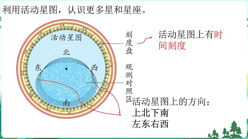 新青岛版科学六上 第三单元复习PPT05