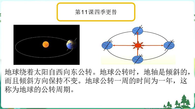 新青岛版科学六上 第四单元复习PPT05