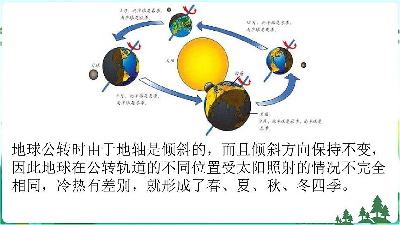 新青岛版科学六上 第四单元复习PPT06