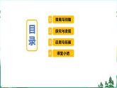 新青岛版六年级上册第22课安全用药PPT课件+视频素材