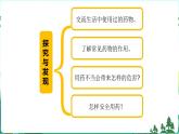 新青岛版六年级上册第22课安全用药PPT课件+视频素材