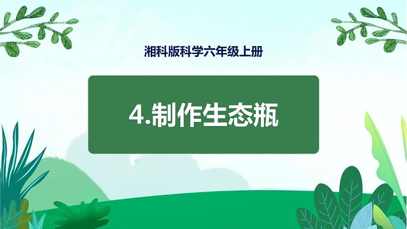 湘科版科学六年级上册 1.4 制作生态瓶 课件+教案01