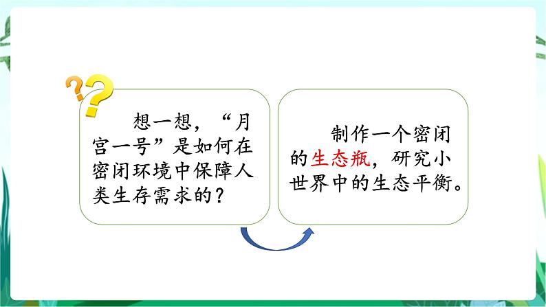 湘科版科学六年级上册 1.4 制作生态瓶 课件+教案04