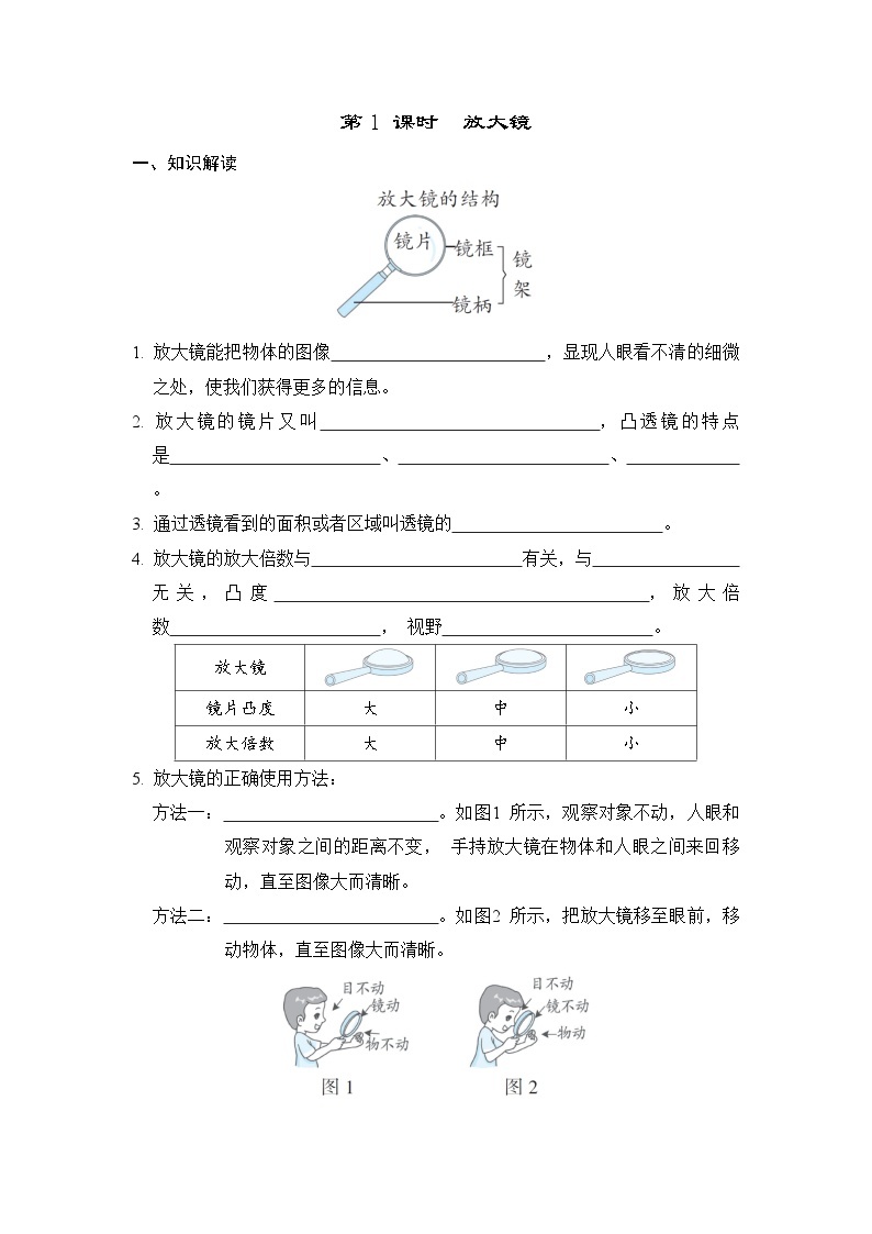 教科版科学六上 1.1放大镜 学案（含答案）01