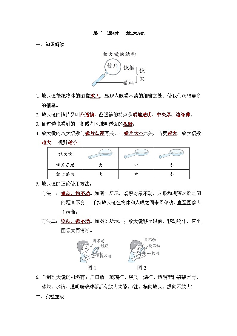 教科版科学六上 1.1放大镜 学案（含答案）01