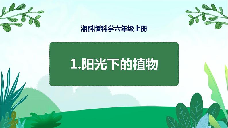 湘科版科学六年级上册 1.1 阳光下的植物 课件+教案01