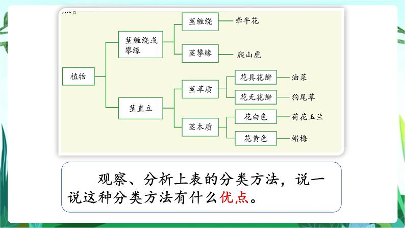 湘科版科学六年级上册 1.1 阳光下的植物 课件+教案05