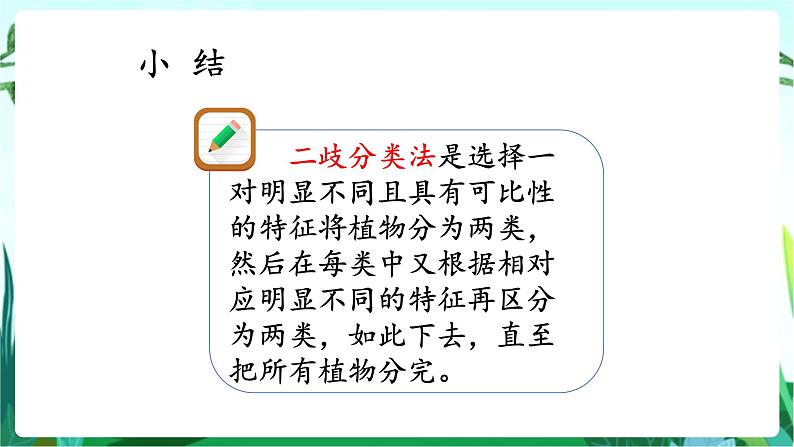 湘科版科学六年级上册 1.1 阳光下的植物 课件+教案06