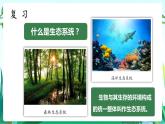 湘科版科学六年级上册 1.3 保持生态平衡 课件+教案