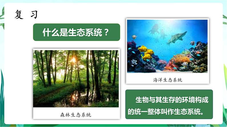 湘科版科学六年级上册 1.3 保持生态平衡 课件+教案02