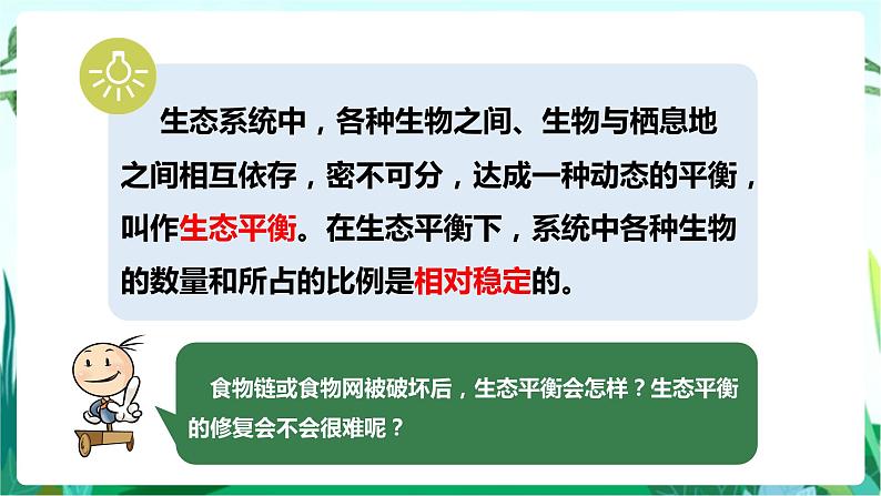 湘科版科学六年级上册 1.3 保持生态平衡 课件+教案03