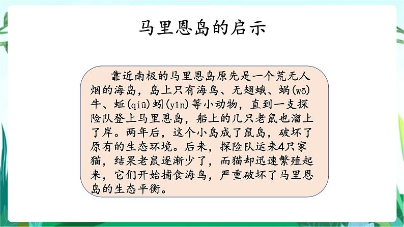 湘科版科学六年级上册 1.3 保持生态平衡 课件+教案04