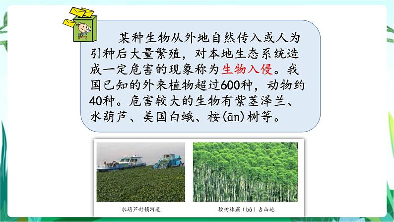 湘科版科学六年级上册 1.3 保持生态平衡 课件+教案07