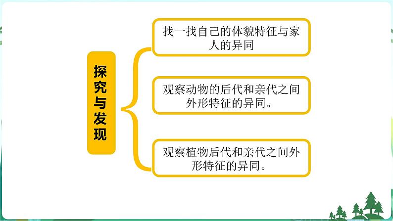 新青岛版六年级上册第2课像与不像PPT课件+视频素材04