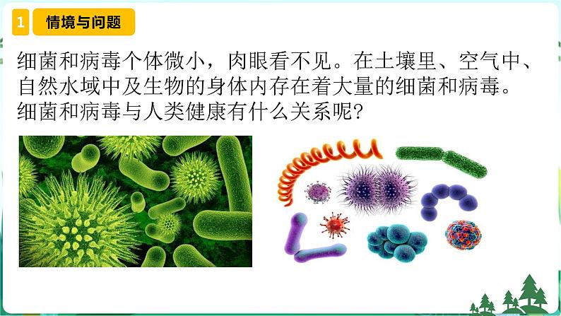 新青岛版六年级上册第4课细菌和病毒PPT课件+视频素材04