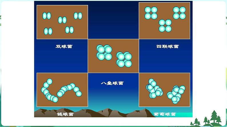 新青岛版六年级上册第4课细菌和病毒PPT课件+视频素材08