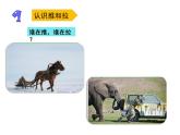 小學(xué)科學(xué)蘇教版二年級(jí)上冊(cè)第三單元1《 推和拉》教學(xué)課件（2023秋）
