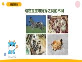 小学科学苏教版六年级上册第二单元2《生物的变异》教学课件（2023秋）