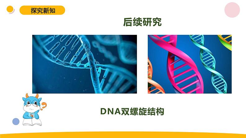 小学科学苏教版六年级上册第二单元3《寻找遗传与变异的秘密》教学课件（2023秋）04