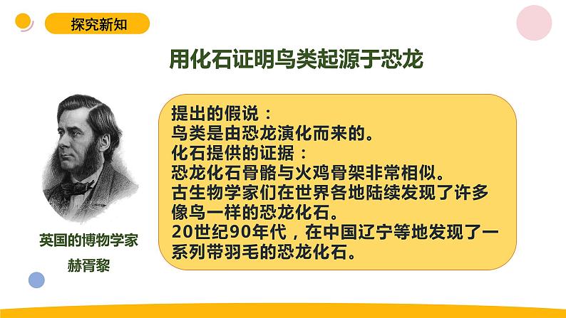 小学科学苏教版六年级上册第三单元3《用化石做证据》教学课件（2023秋）06