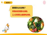 小学科学苏教版六年级上册第五单元2《人造肥料与现代农业》教学课件（2023秋）