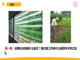 小学科学苏教版六年级上册第五单元2《人造肥料与现代农业》教学课件（2023秋）