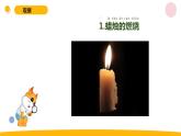 小学科学苏教版六年级上册第一单元1《蜡烛的变化》教学课件（2023秋）