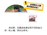 小學(xué)科學(xué)蘇教版三年級上冊第二單元1《土壤的成分》教學(xué)課件（2023秋）