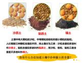 小学科学苏教版三年级上册第二单元2《土壤的类型》教学课件（2023秋）