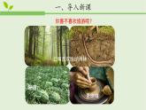 小学科学苏教版三年级上册第二单元4《保护土壤》教学课件（2023秋）
