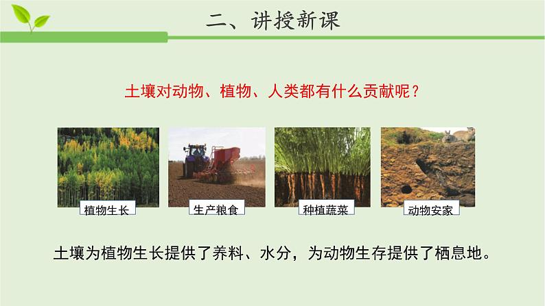 小学科学苏教版三年级上册第二单元4《保护土壤》教学课件（2023秋）03