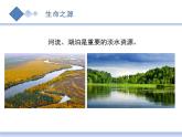 小学科学苏教版三年级上册第四单元1《地下水》教学课件（2023秋）