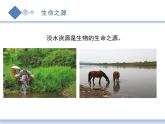 小学科学苏教版三年级上册第四单元1《地下水》教学课件（2023秋）