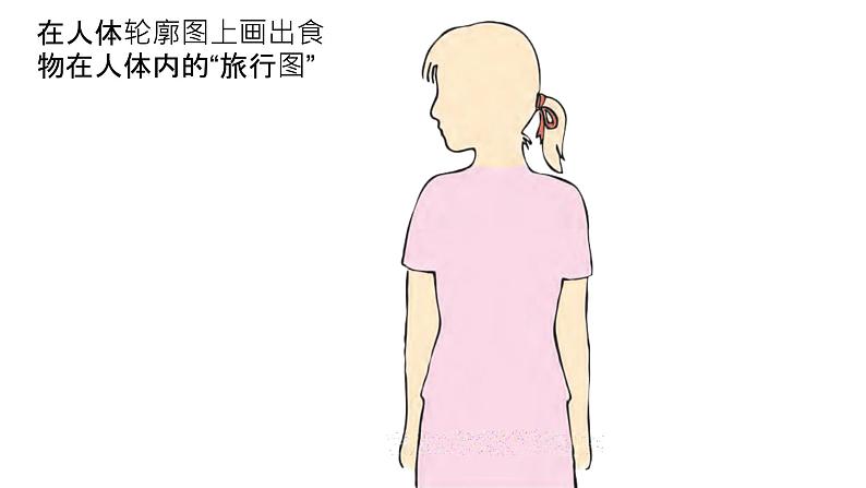 小学科学苏教版三年级上册第五单元3《食物的旅行》教学课件（2023秋）第3页