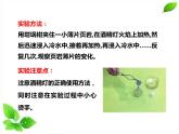 小学科学苏教版五年级上册12《地球的内部》教学课件（2023秋）