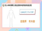 小學科學蘇教版五年級上冊18《從刺激到反應(yīng)》教學課件（2023秋）