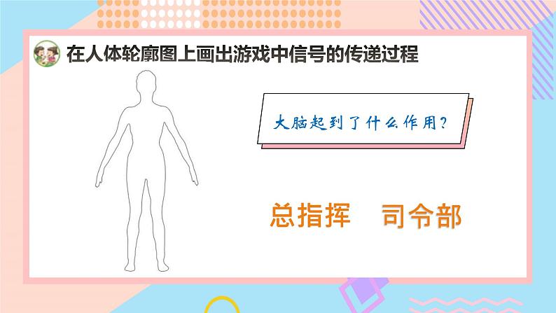 小学科学苏教版五年级上册18《从刺激到反应》教学课件（2023秋）04