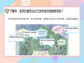 小學科學蘇教版五年級上冊18《從刺激到反應(yīng)》教學課件（2023秋）