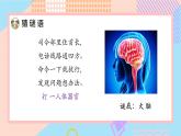 小学科学苏教版五年级上册19《我们的大脑》教学课件（2023秋）