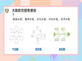 小學科學蘇教版五年級上冊20《大腦的開發(fā)與利用》教學課件（2023秋）